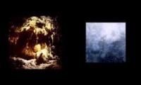 Wolves in the Throne Room