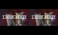Space cats - Magic Meow