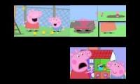 Peppa Pig Sparta Quadparison 1