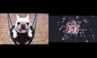 Puppies and Mutemath
