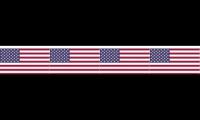America the Beautiful by Charles Moe
