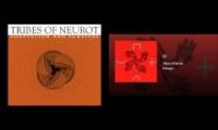 Tribes of Neurot- Adaptation and Survival