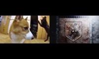 Attack on fluffy butt