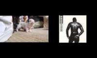 Thumbnail of This Pig is Humpig Around