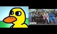 Uptown funk and The duck song
