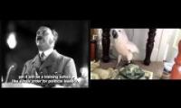 Hitler versus parrot