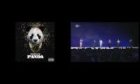 Windows 95 launch for panda
