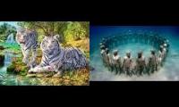 Walter Veith's Evolution or Creation vs. Ancient Japanese Underwater Cities