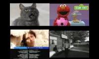 Annoying Goose: Gray Cat Meets Elmo