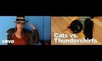Kitty Cat Thundershirtz