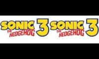 Carnival Night Zone, Act 1 & 2 - Sonic the Hedgehog 3 & Knuckles