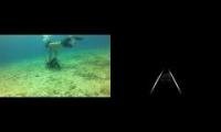 Epicness of scuba diving