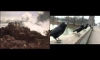 Thumbnail of Bach English Suite and Crows