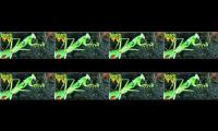 PREYING MANTIS NIGGER ORGY GONE SEXUAL