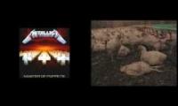 Metallica - Battery Chicken