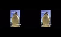 bounding booty in 3D great video