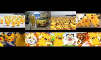 Thumbnail of Pika P goes crazy in 2016 (must watch)