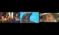 Dolphin House - DSmith Remixxx 2