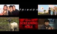 Scream-a-meme! (Note: I am not responsible for brain damage or time-wasting. Use your time wisely)