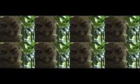thx sound test thx sound test thx sound test