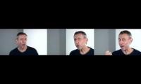 3 video michel rosen at the samee time