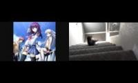 doggo falls down to angel beats