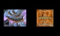 Morrowind experience
