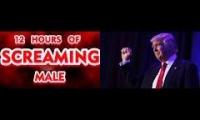 Trump Victory Scream