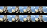 OH NO! Joseph Jostar compilation.