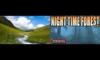 RickSleepStreamBirds