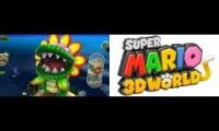 Mario Galaxy with 3D World OST