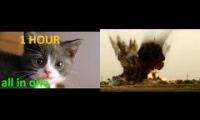 Exploding Kittens Exploding Kittens Exploding Kittens Exploding Kittens