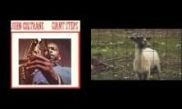 Giant Goats Doing Giant Things For You jazzjazzjazz