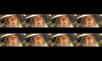 Gandalf x88888888888