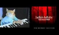 A cat plays Bella's lullaby