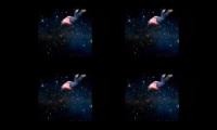 Shooting Stars 200000000