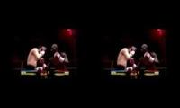 Honeyfly Night Fights: Fight Night R3 (Timing Fixed)