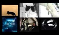 Thumbnail of Cats in space with background music