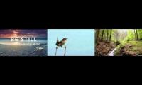Relaxing Worship with Forest Sounds