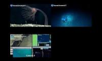 All 3 Okeanos Live Feeds