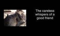Sexy cats get caught in the act