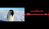 Penguin Runner XXX filler characters do not read