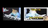 Keyboard Cat Sparta Venom Remix Comparison (Spartan Apple vs TehFlutterSpartanShy)