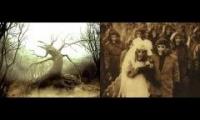 Aphex Twin Mashup - Grass n' Trees