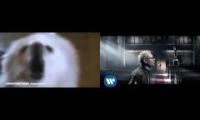 Thumbnail of Numb-Linkin Park(Animal edit)
