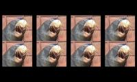 Sea Lion Sea Lion Sea Lion Sea Lion Sea Lion Sea Lion Sea Lion Sea Lion