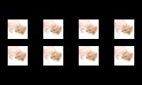 Frogs Dabs --^-___--_^)