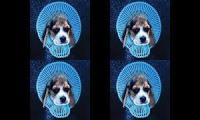 La Leyenda del Perro Pipo