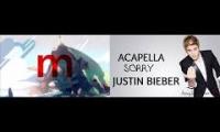 Stronger than Sorry (Mashup of Garnet and Justin Bieber)