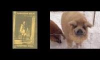 Sanguine Relic - Porcine Will